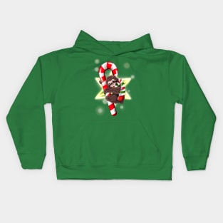 Candy cane sloth Kids Hoodie